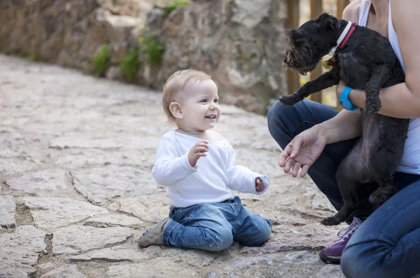 Ładny chłopczyk patrząc na psa w ręce matki — Zdjęcie stockowe