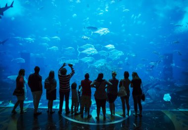 akvaryum insan siluetleri