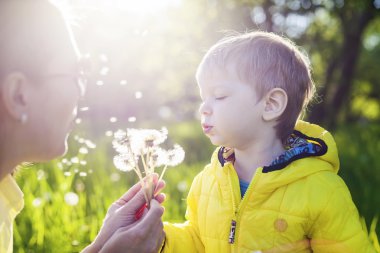 dandelions üfleme önce bir dilek yapma çocuk