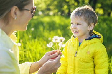 dandelions üfleme önce bir dilek yapma çocuk