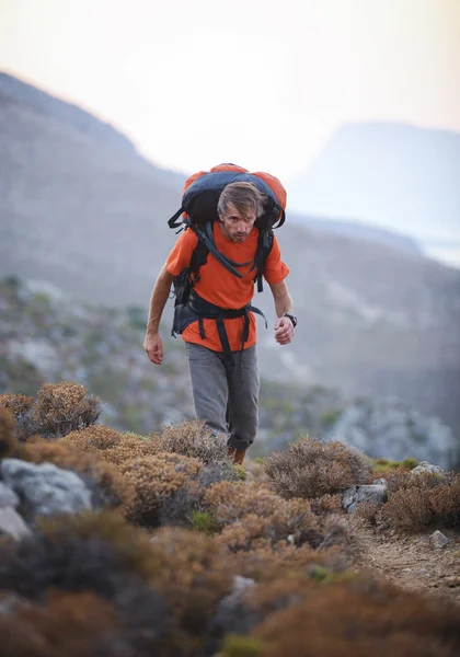 Male hiker in mountains — Stock Photo, Image