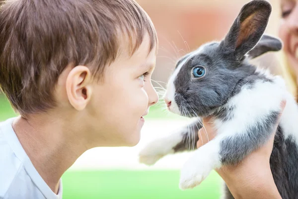 Little boy looking at pet rabbit