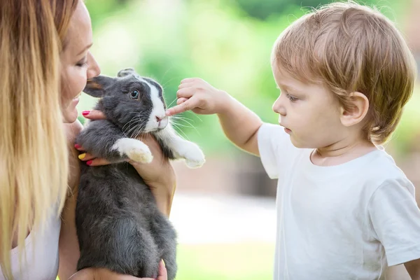 Little boy touching rabbit's nose — Stock Photo, Image