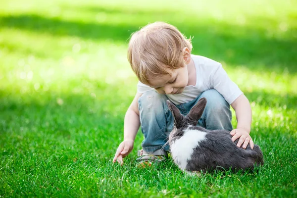 Pequeño niño acariciando conejo —  Fotos de Stock