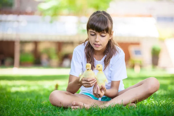 Little girl with small ducklings — Stock Photo, Image
