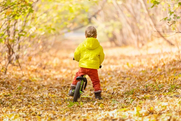 Little boy riding learner bike — Stock Photo, Image