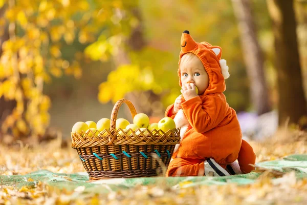 Niño sentado junto a la cesta con manzanas en el parque de otoño —  Fotos de Stock