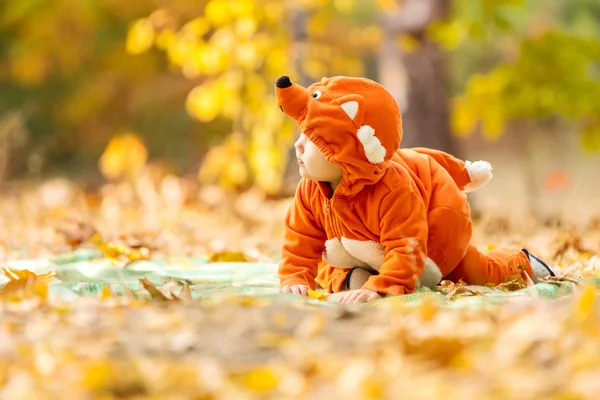 Baby boy in fox costume in park — Stock Photo, Image
