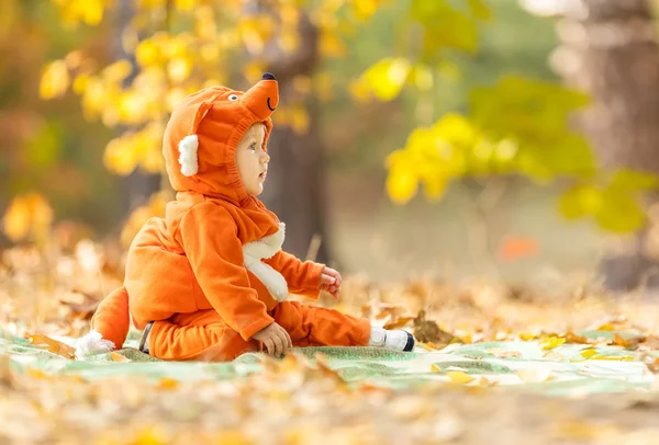 Carino bambino nel parco autunnale — Foto Stock