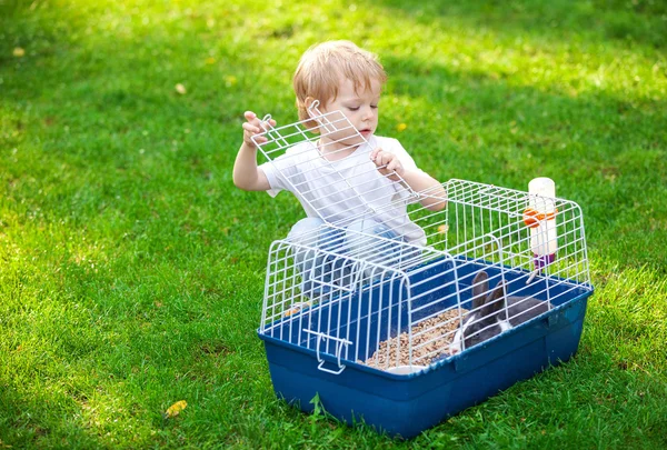 Pojke öppna en bur med en sällskapsdjur kanin — Stockfoto