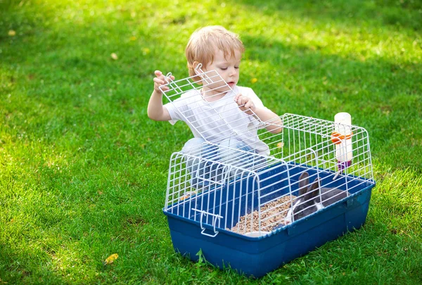 Ragazzo che apre una gabbia con un coniglio domestico — Foto Stock