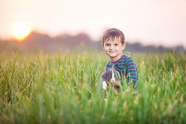 Niño con un conejo en un campo — Foto de Stock