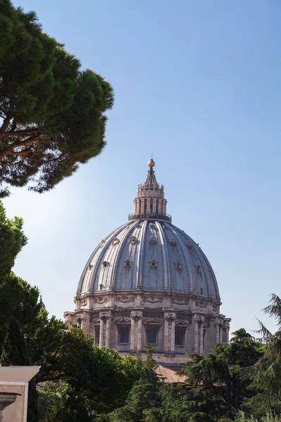 Petersbasilika in Vatikan. — Stockfoto