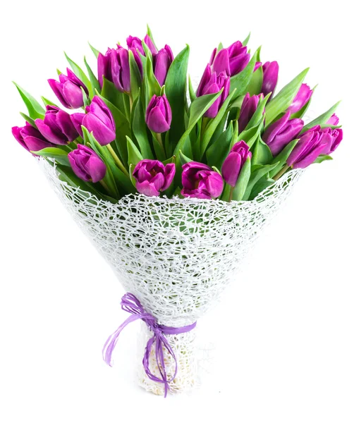 Букет из 25 фиолетовых тюльпанов, изолированных на белом фоне, должны — стоковое фото