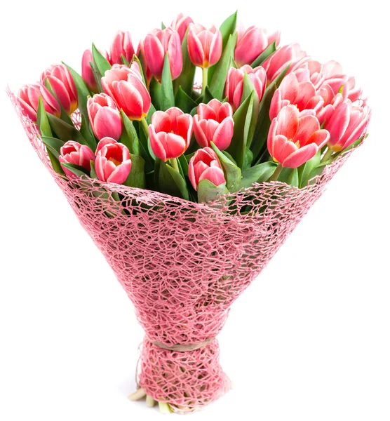 Bouquet of pink tulips in a package, isolated on white backgroun — Stock Photo, Image
