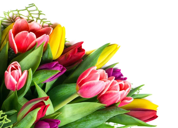 Bouquet of colorful tulips, isolated on white background — Stock Photo, Image