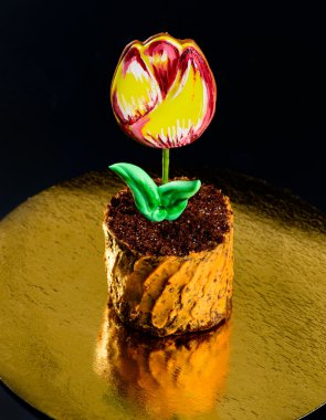 siyah arka planda (sığ bir çiçek Lale şeklinde pasta 