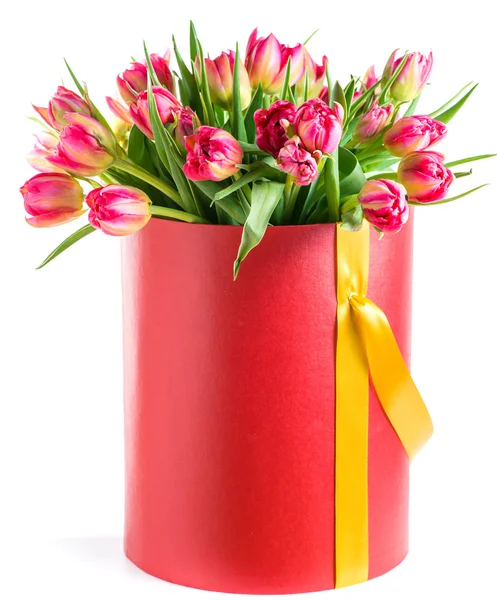 Red tulips in a hat box, isolated on white background — Stock Photo, Image