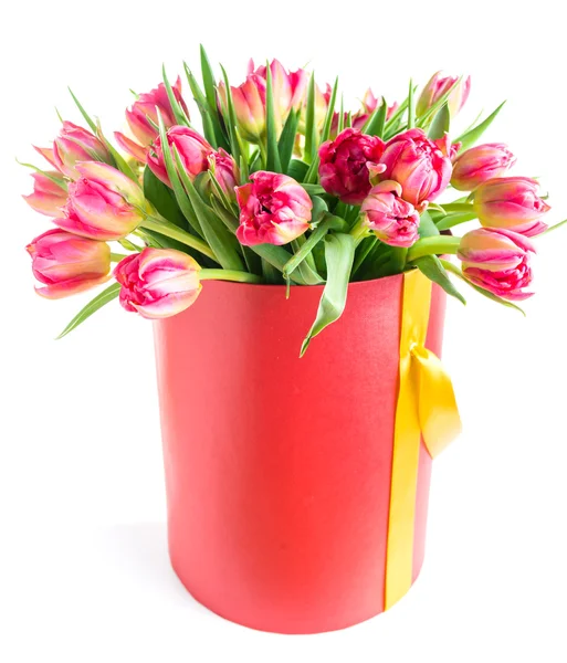 Colorful tulips in a round hat box, isolated on white background — Stock Photo, Image