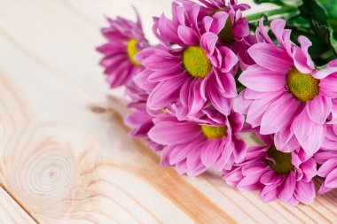ahşap arka plan üzerinde mor krizantem