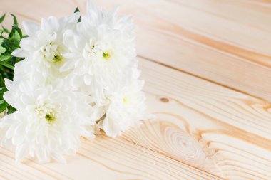 ahşap arka plan üzerinde beyaz krizantem