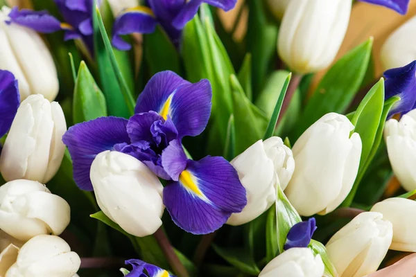 Iris a Tulipán makro — Stock fotografie