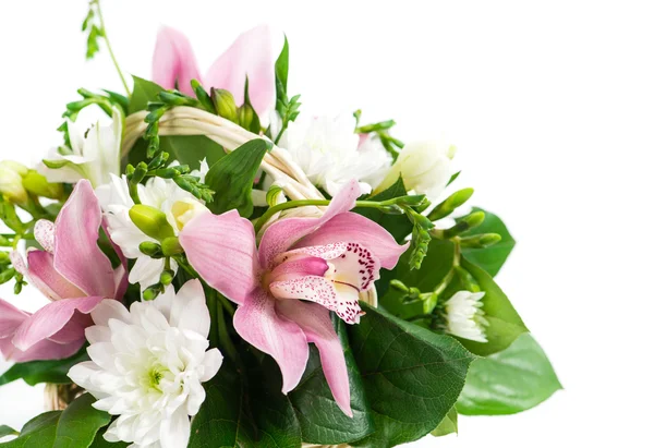 Цветочная орхидея и макро фрезия — стоковое фото