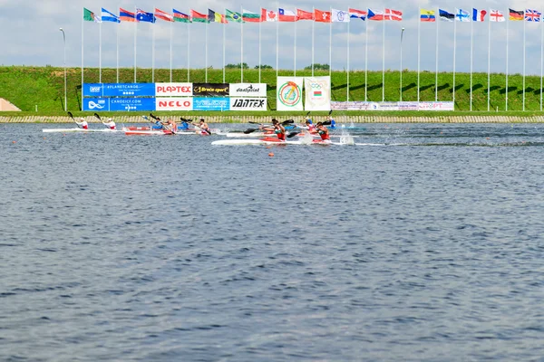 벨로루시, 민스크, 7 월 30 일, 2016: 세계 선수권 대회 카누 스 프린트 — 스톡 사진