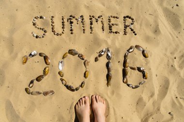 Kum yaz 2016 kitabe kabukları. Summer konsept fotoğraf