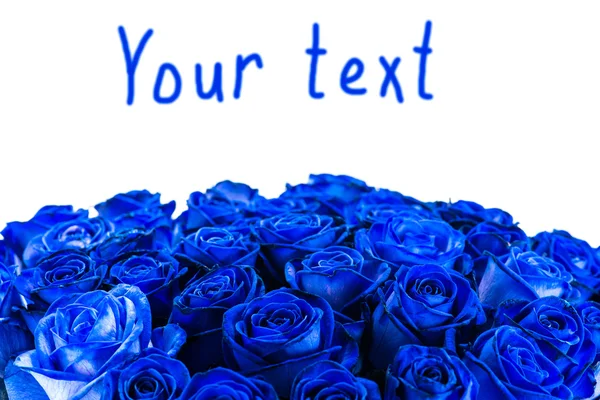Boeket blauwe rozen isoleren, mocup, ruimte voor tekst — Stockfoto