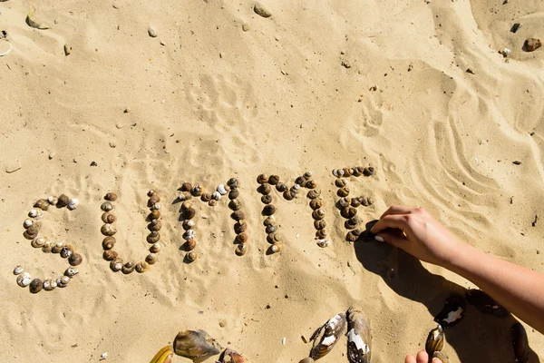 Напис на піску Літо молюсків. Концепт фото літнього склепу — стокове фото