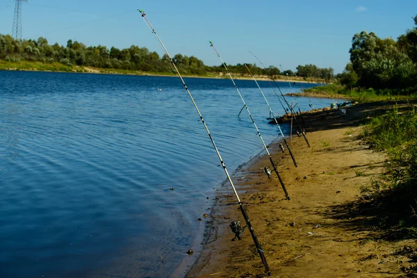 Fila de cañas de pescar pesca — Foto de Stock