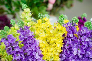 Yapay çiçek renkli, çeşitli, sığ derinlik-in tarla