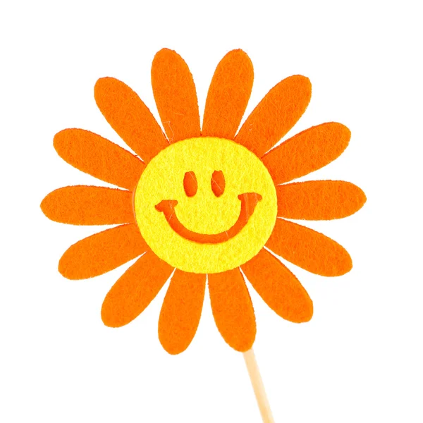 Flor sorridente ensolarado, isolado — Fotografia de Stock