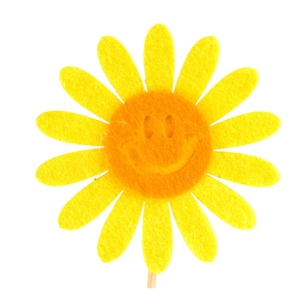 Blume Smiley sonnig, isoliert — Stockfoto