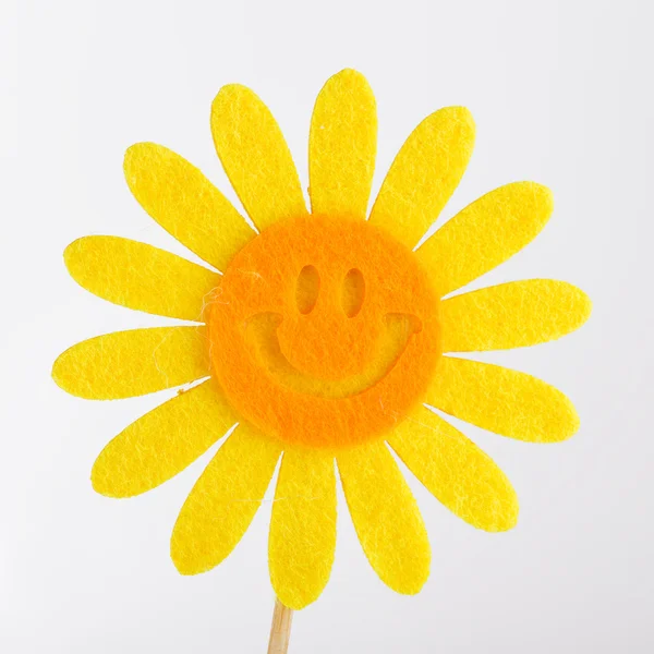 Flor sorridente ensolarado em um fundo cinza — Fotografia de Stock