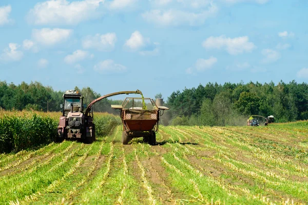 Maisernte mit Traktor — Stockfoto