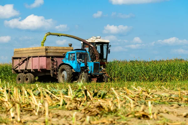 Maisernte mit Traktor — Stockfoto