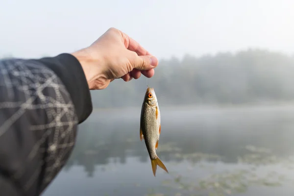 Peixe em um gancho contra o fundo do rio — Fotografia de Stock