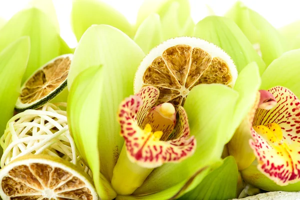 Boîte composition avec des fleurs fraîches sur un fond blanc isolat — Photo