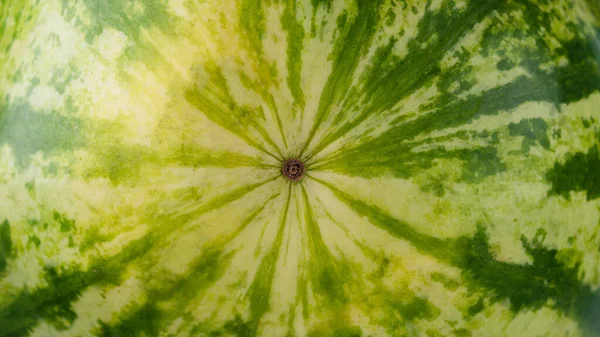 Nahaufnahme Der Haut Der Wassermelone Textur Des Wassermelonen Hintergrundes — Stockfoto