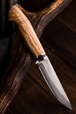 Birinci sınıf bıçak. Efsanevi avcı bıçağı. Av bıçağı ve boynuz, ahşap tahtada av teçhizatı ve boynuzlar kapanır. Avlanma temalı bir hayat