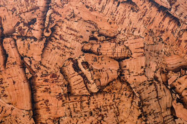 Close-up background and texture of cork board wood surface