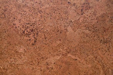 Mantar tahta yüzeyinin yakın plan ve dokusu