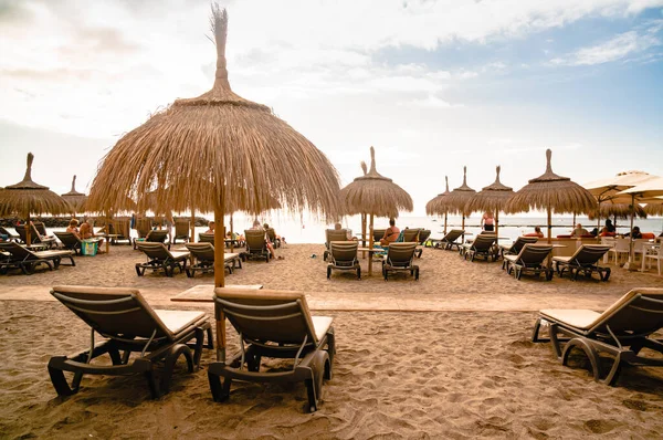 Beach Straw Umbrellas Palm Trees Umbrellas Palm Trees Beach Sun — Stock Photo, Image