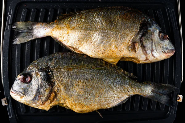 Raw Dorada Fish Grill Presentation Fresh Wild Sea Bream Grill — Stock Photo, Image