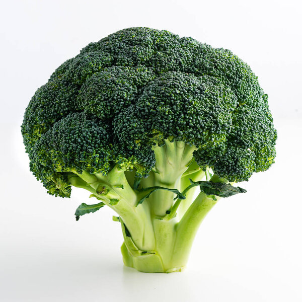 broccoli on a white background