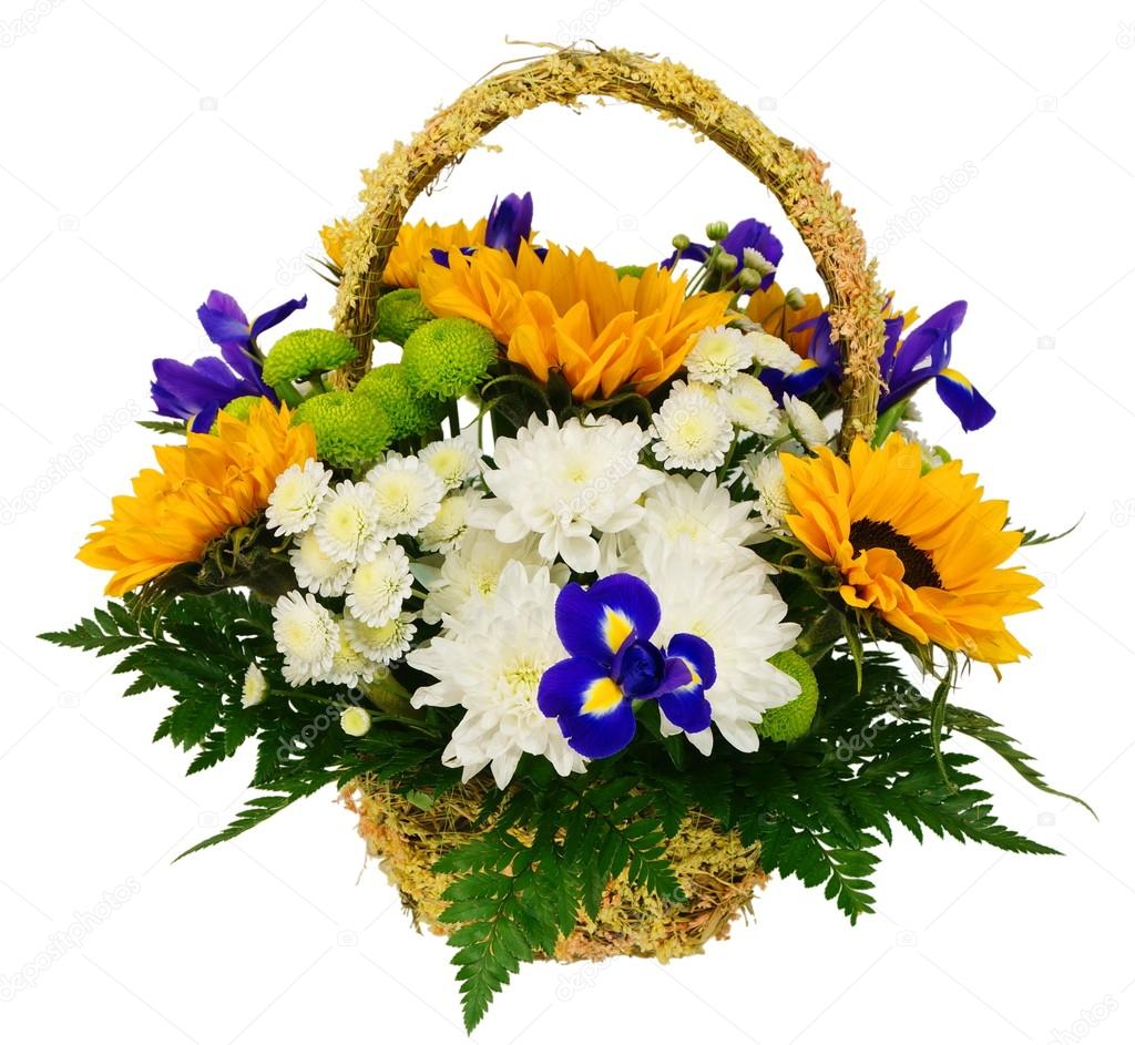 Basket of chrysanthemums and sunflowers