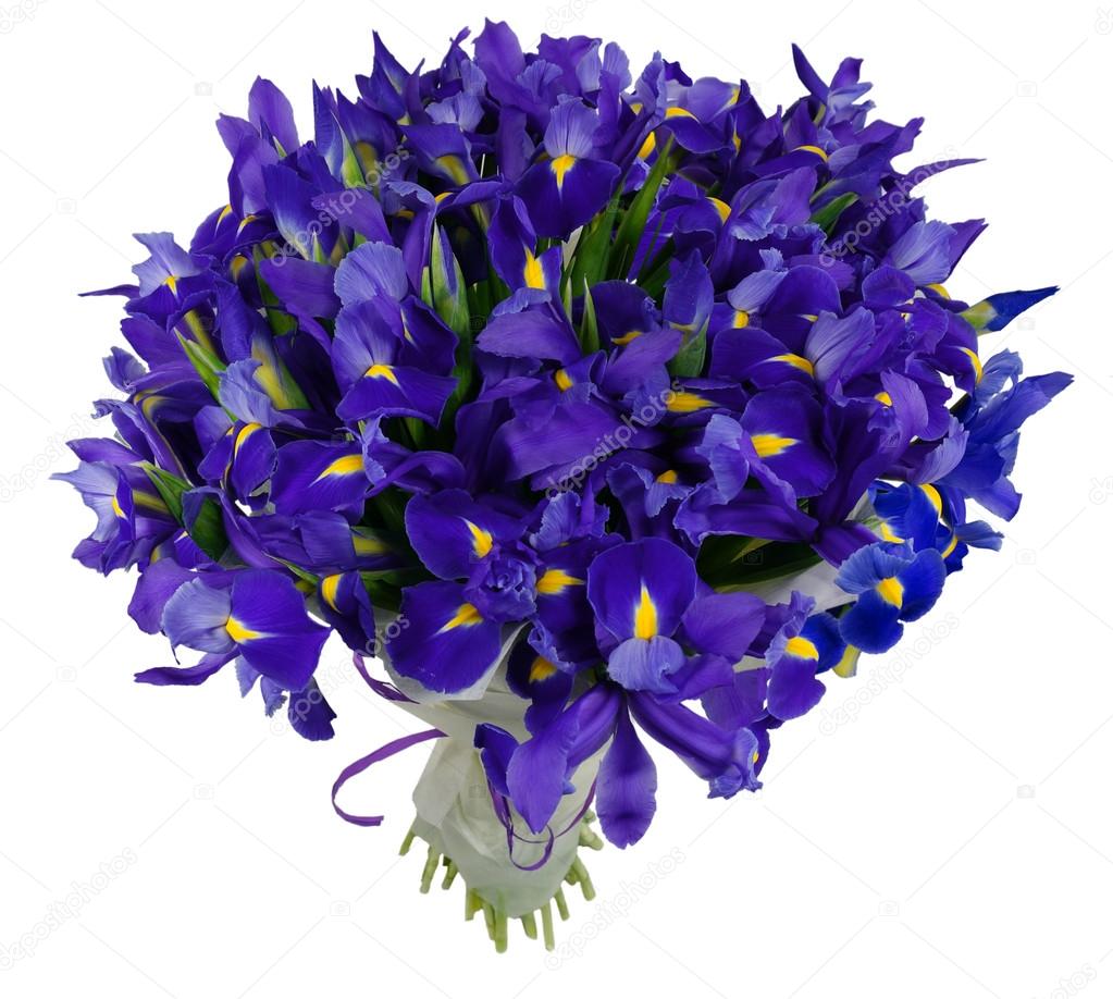 Bouquet of irises in package