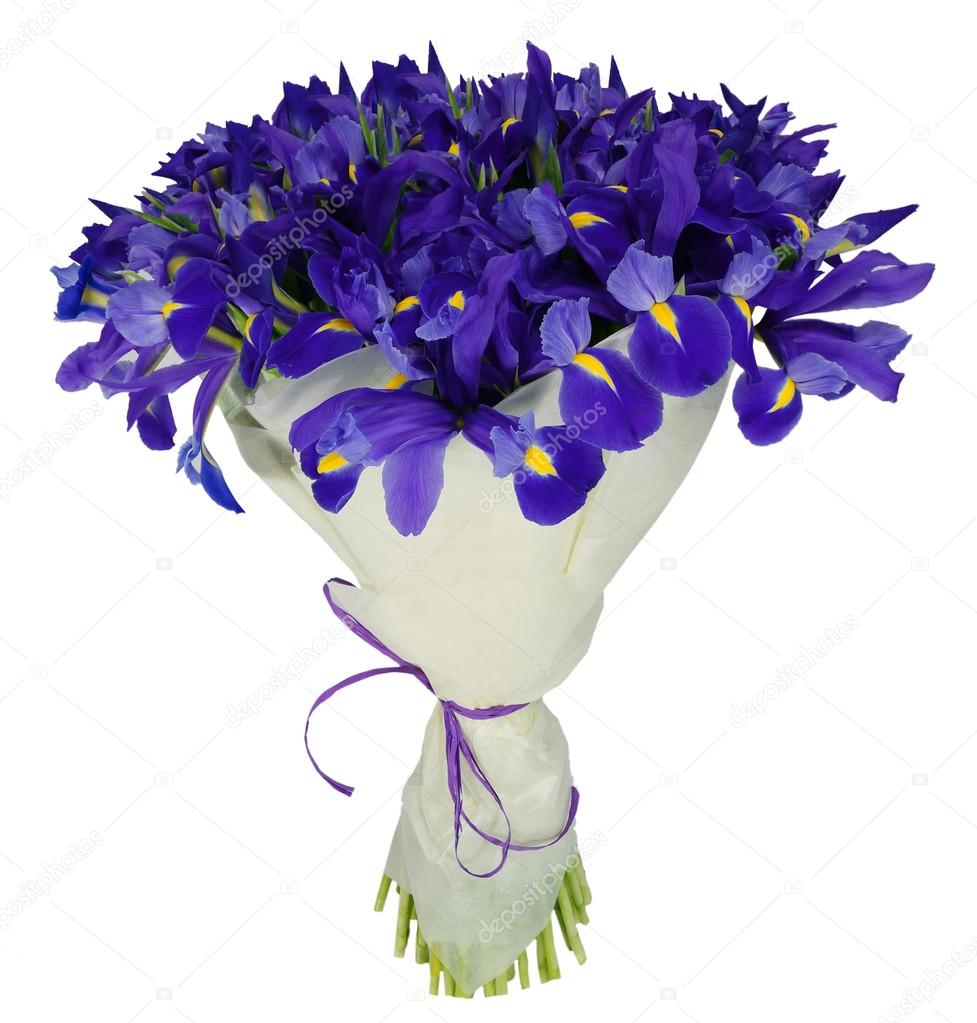 Bouquet of irises in package